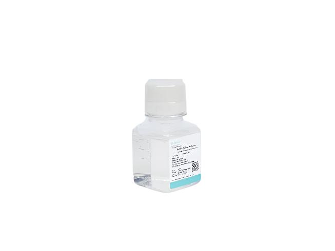 0.05% Trypsin Solution (with EDTA, dissolved in D-Hank's)