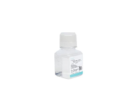 0.05% Trypsin Solution (with EDTA, dissolved in PBS)