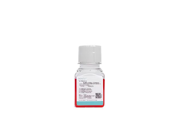 0.05% Trypsin Solution (with EDTA, phenol red, dissolved in D-Hank's)