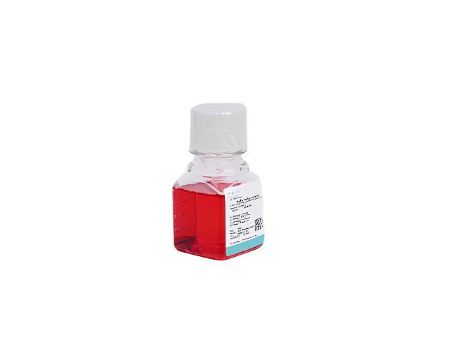 0.05% Trypsin Solution (with EDTA, phenol red, dissolved in D-Hank's)