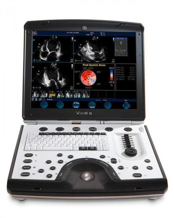 Vivid q portable ultrasound
