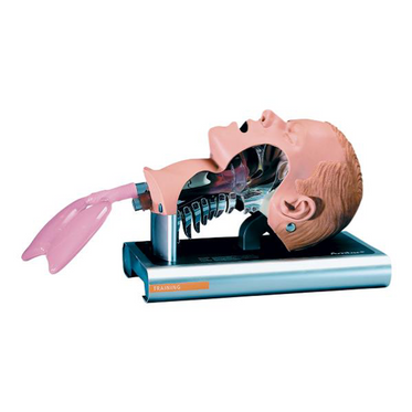 dimensions-40cm-x-24cm-x-35cm