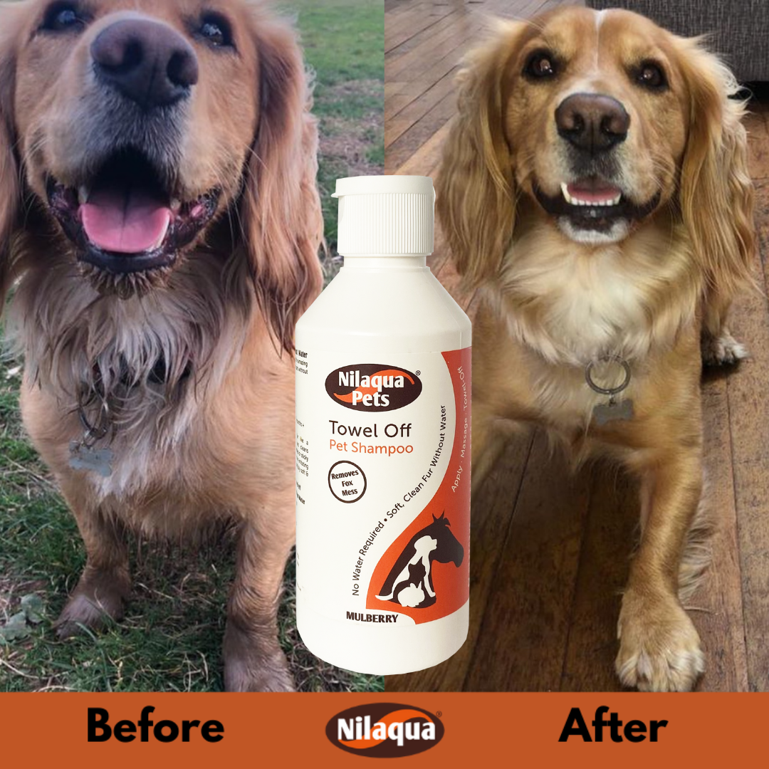 Nilaqua No Rinse Pet Shampoo 500ml -CLEARANCE