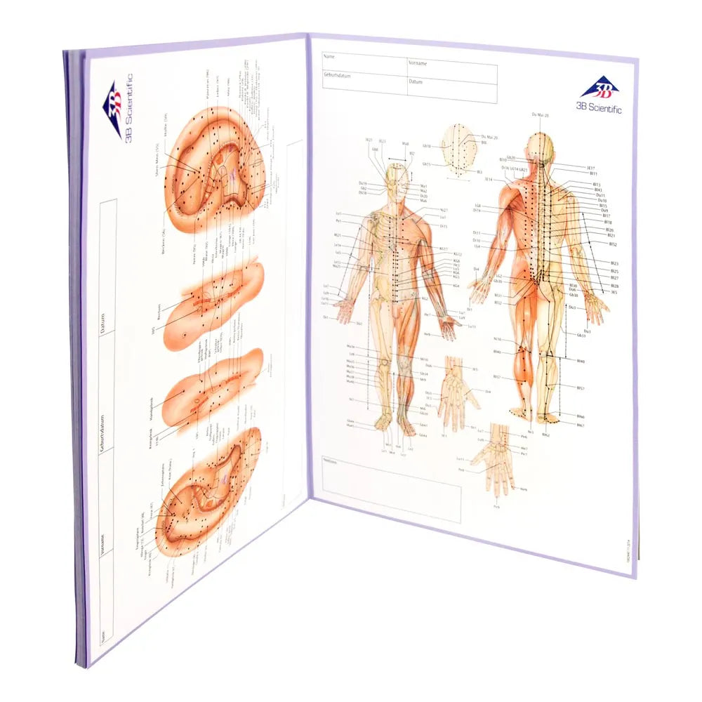 Meridian Notebook