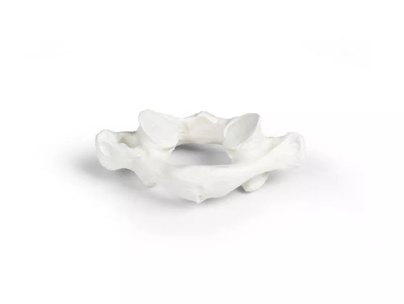 Vertebrae model, individual (C1-L5)