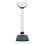 seca 755 Electronic Column Scale with BMI Display