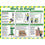 Work At Height Poster Laminated