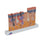 Human Skin Section Model, 40 times Full-Size