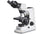 Kern Compound Microscope OBL 146