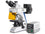 Kern Compound Microscope OBN 147