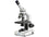 Kern Compound Microscope OBS 113