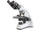 Kern Compound Microscope OBT 104