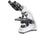 Kern Compound Microscope OBT 106