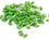 Green Oral Swabs - Box of 250