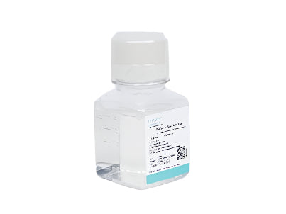 100mM Sodium Pyruvate Solution (100×)