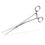 Forceps Luer Vulsellum Straight Toothed 1:1 23cm (9)
