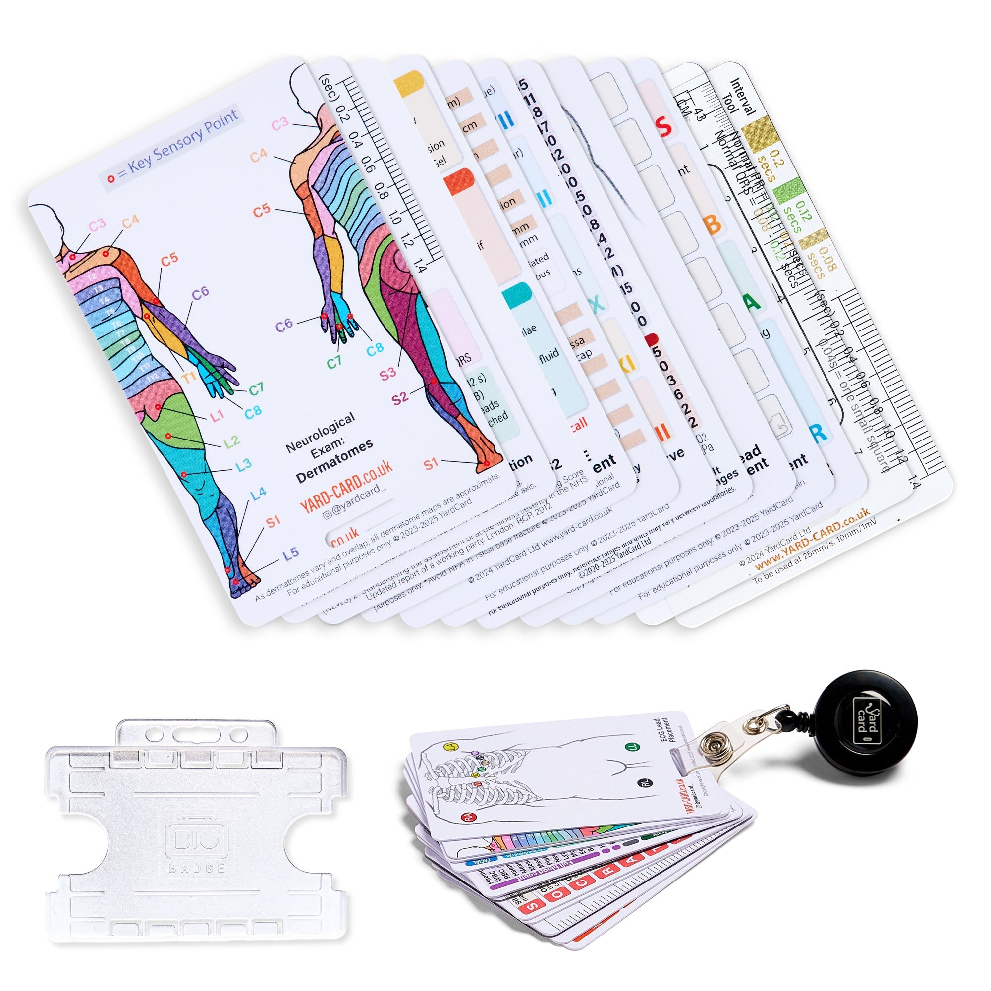 Set of 12 Essential Lanyard Cards (ID Card Size) with Holder & Retractable Reel