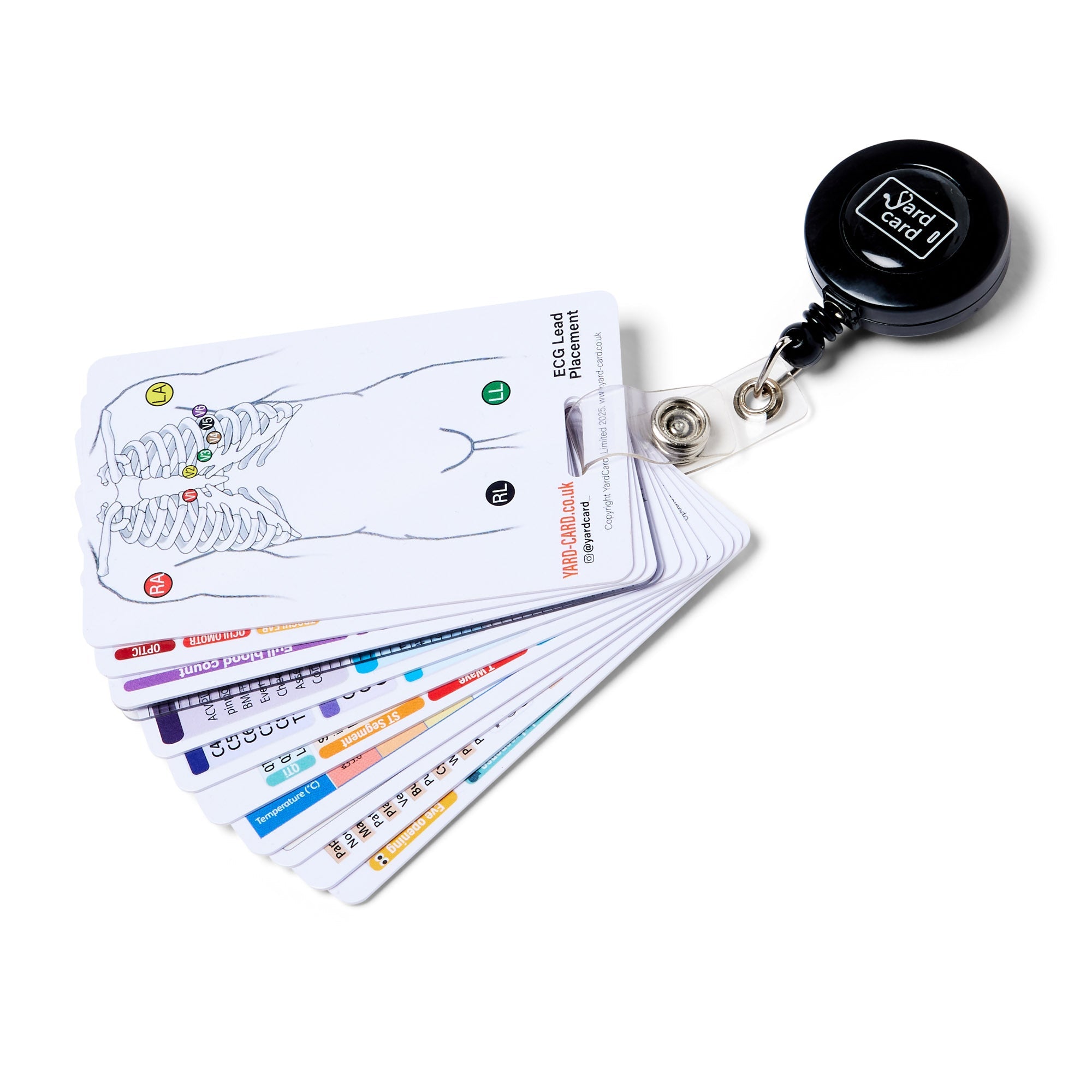 Set of 12 Essential Lanyard Cards (ID Card Size) with Holder & Retractable Reel