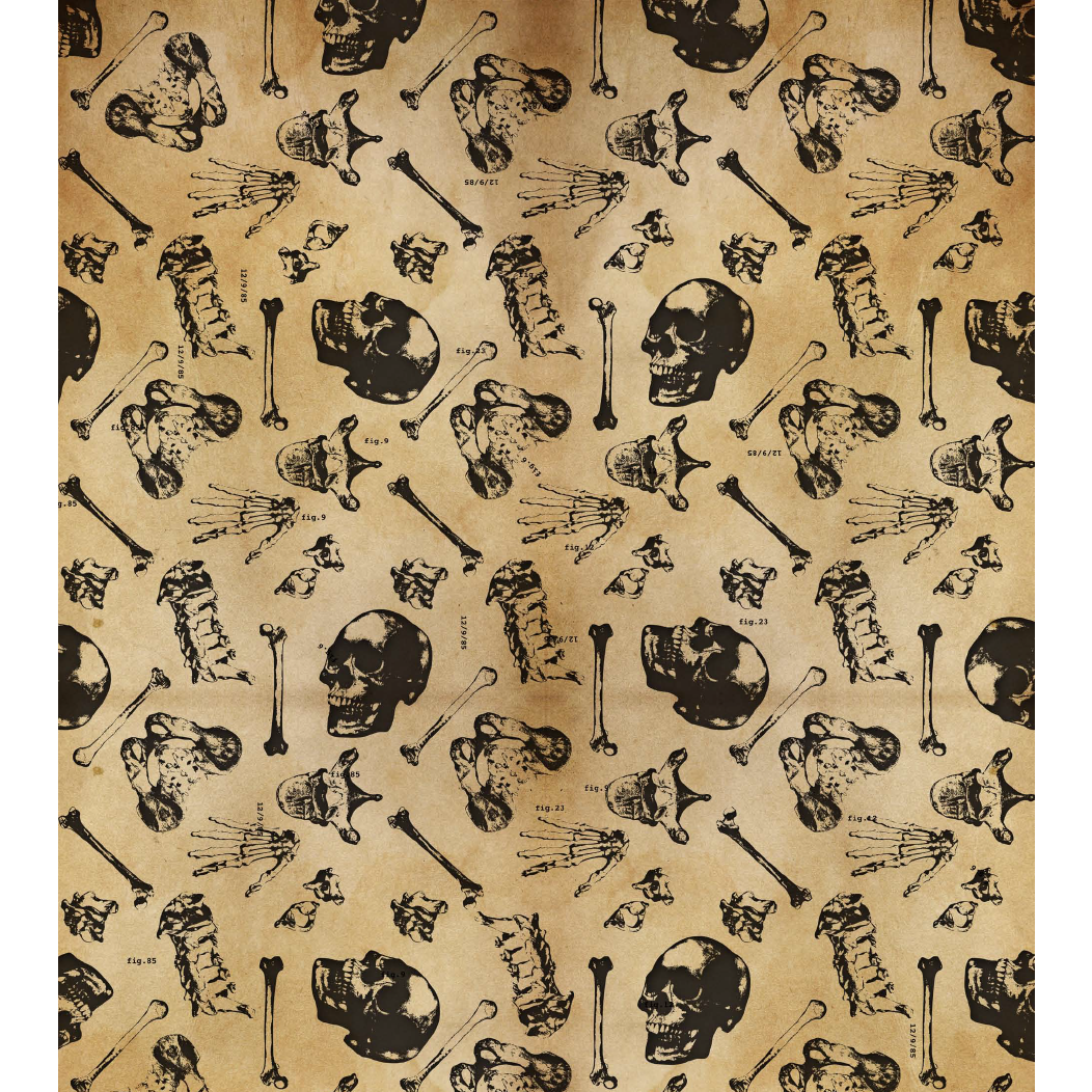 Medinc Gift Wrap: Anatomy - Single Sheet