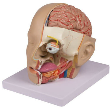 21-x-15-x-16-cm-weight-approx-1-kg