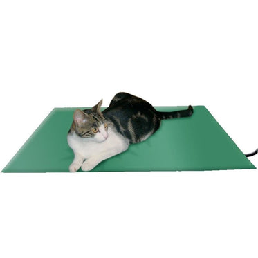 dimensions-43-x-38cm-17-x-15