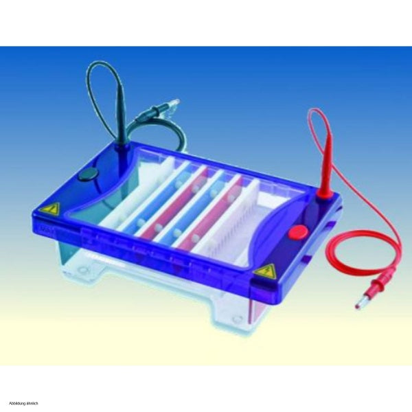 BIOTEC-FISCHER PHERO-sub 1515-E electrophoresis tank 150x70 mm in Electrophoresis Units
