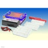 BIOTEC-FISCHER PHERO-sub 1515-RV electrophoresis tank in Electrophoresis Units
