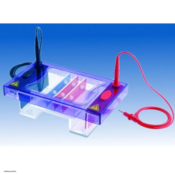 BIOTEC-FISCHER PHERO-sub 9615 M218 electrophoresis tank in Electrophoresis Units
