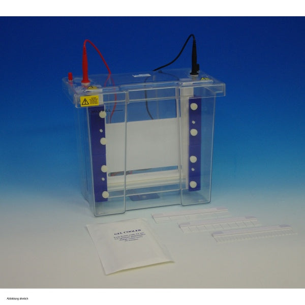 BIOTEC-FISCHER PHERO-vert 2020-E vertical electrophoresis in Electrophoresis Units