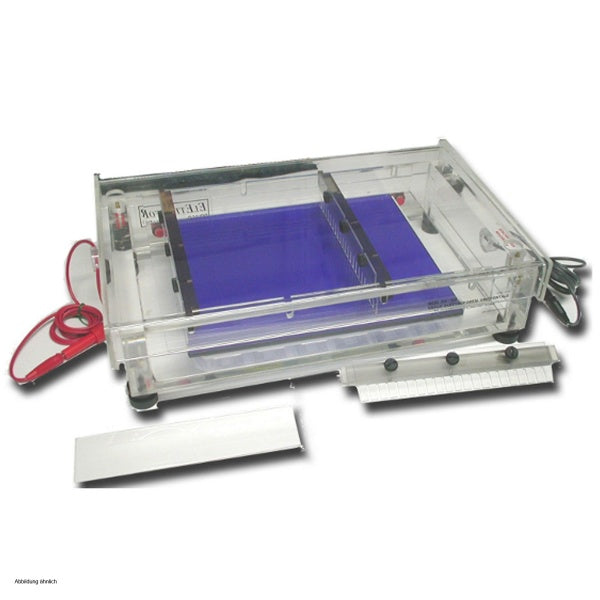 Elettrofor OA-250 Maxi size (250 x 250 mm) in Electrophoresis Units