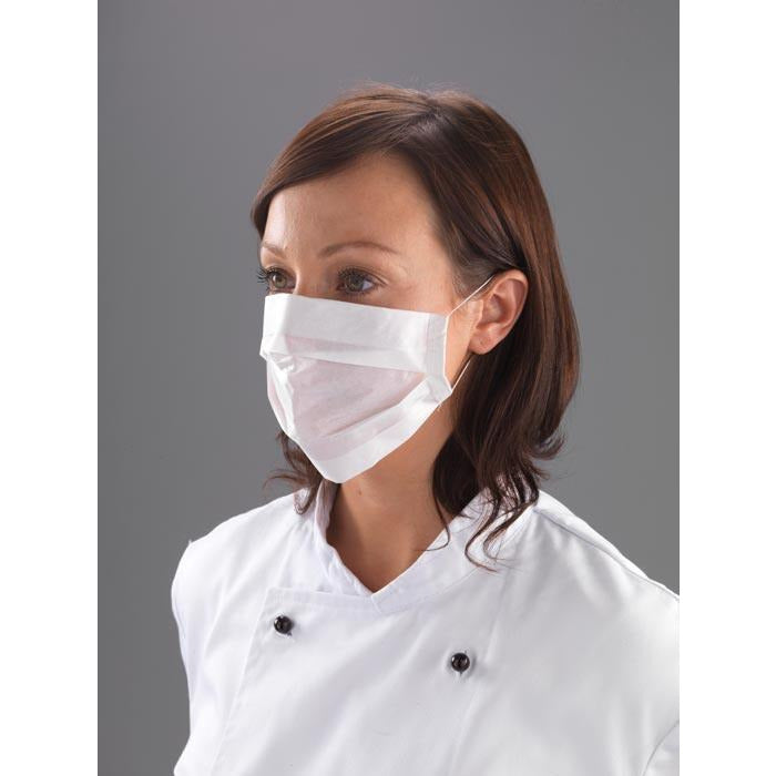 2 ply Disposable Face Mask x 100