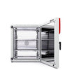BINDER FP 260 drying and heating oven