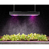 LEDON compact lights MANDARIN LED PFL 650 Package 3 pieces of 74W each