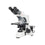 Labbox Biological Microscope Premium, BA-410E