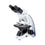 Labbox Biological tip microscope Quantum BM