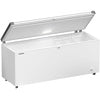 Liebherr EFL 6055 chest freezer