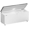 Liebherr EFL 6056 chest freezer