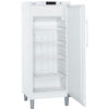 Liebherr NoFrost freezer GGv 5010