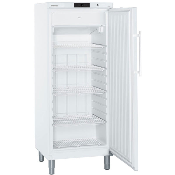 Liebherr NoFrost freezer GGv 5010