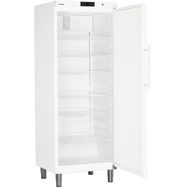 Liebherr Refrigerated storage cabinet GKv 6410