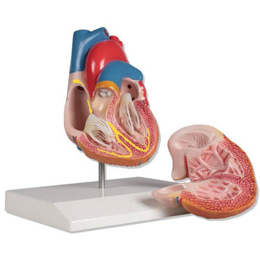 8-x-8-x-14-cm-weight-0-4-kg