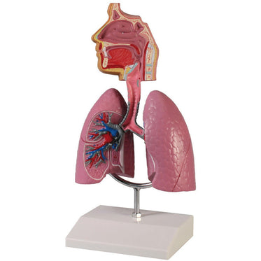 16-x-13-x-28-cm-weight-0-4-kg