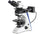 Kern Polarising Microscope OPO 185