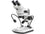 Kern Stereo Zoom Microscope OZL 474