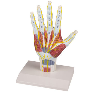 14-x-24-x-4-cm-weight-0-6-kg