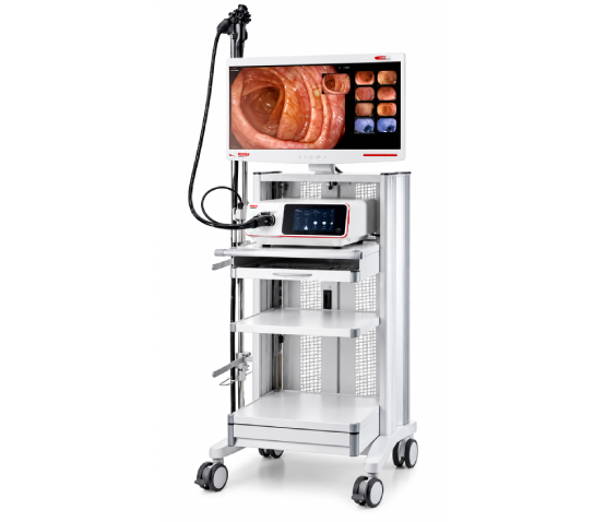 Pentax (HOYA) IMAGINA HD Video Endoscopy System