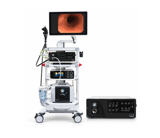 EndoMed Systems COMBO P34 Video Processor with LED Light Source & Insufflation Pump