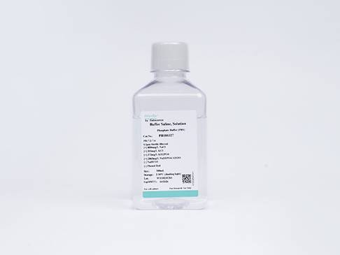 William's E (Without Phenol Red, L-Glutamine)